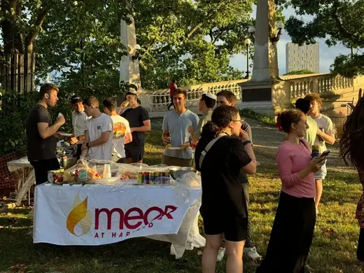 MEOR Harvard, Harvard Yard